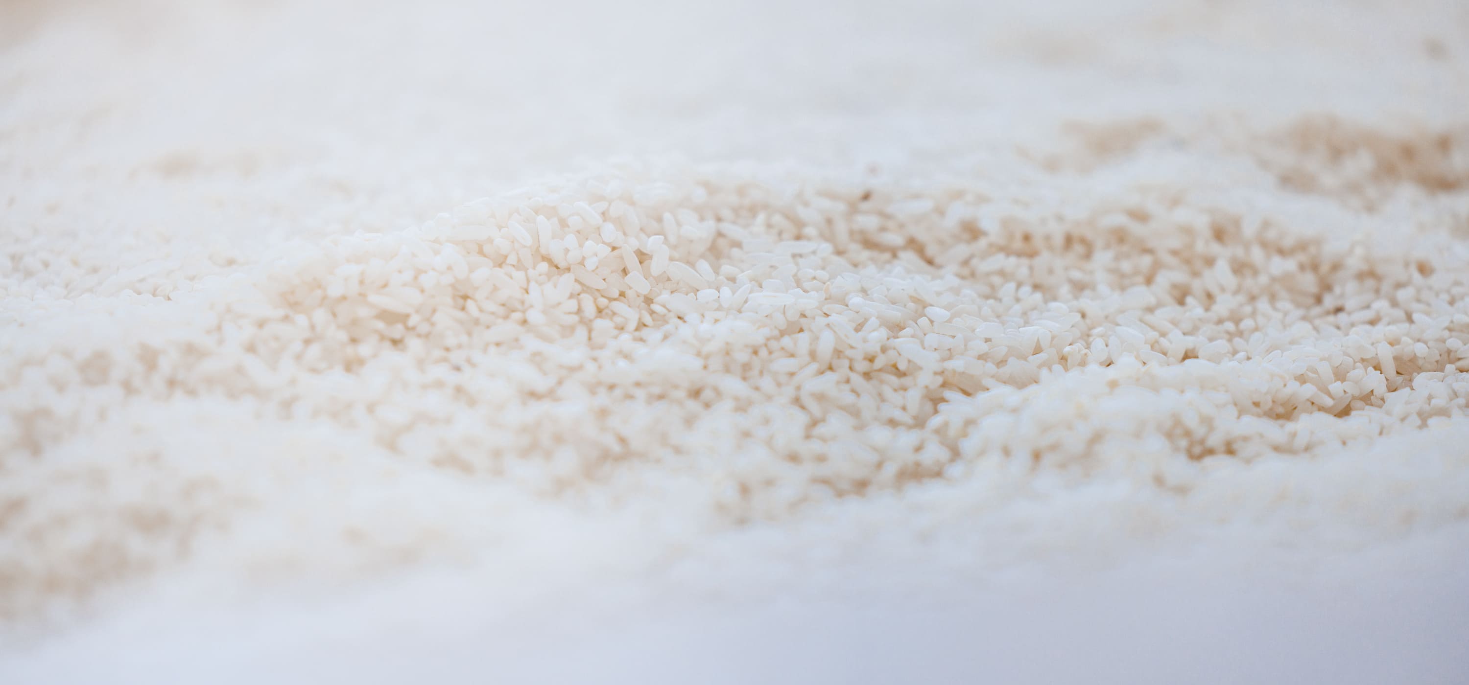 Rice donated through Feed the Body, Feed the Soul event